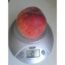 Саженцы персика Вавиловский