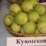 Саженцы груши Куюмская