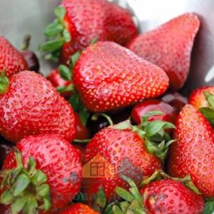 Саженцы клубники Дульсинея